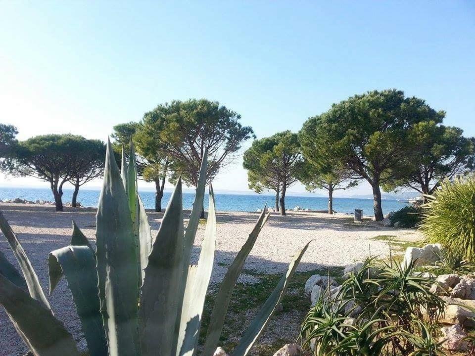 Apartment Dora Crikvenica Eksteriør bilde